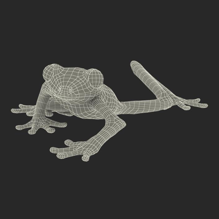 3D Tree Frog Rigged