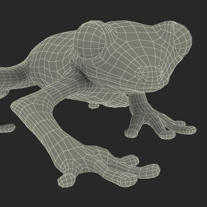 3D Tree Frog Rigged