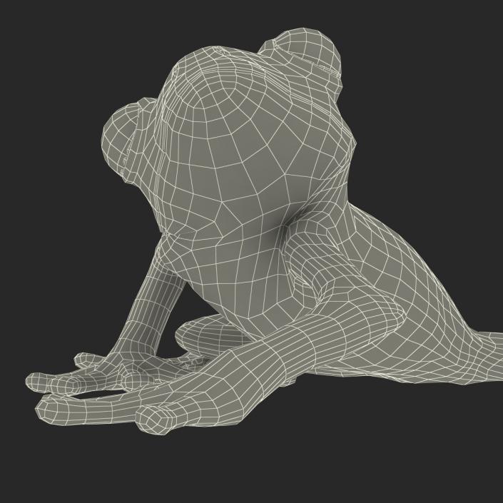 3D Tree Frog Rigged