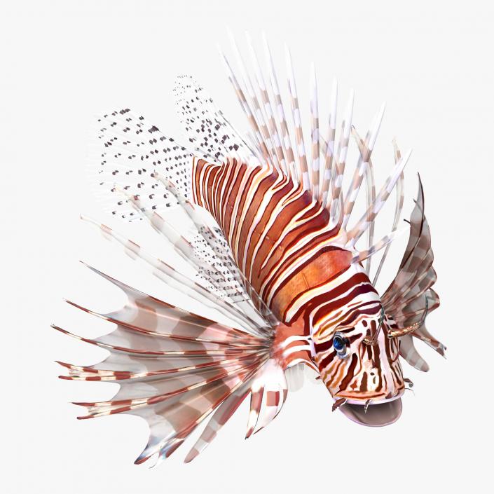 3D model Lionfish Rigged