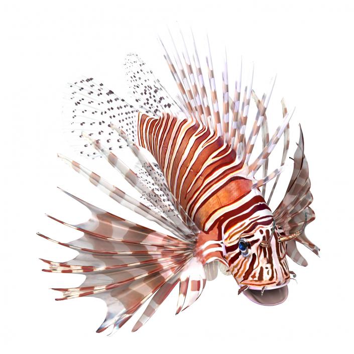 3D model Lionfish Rigged