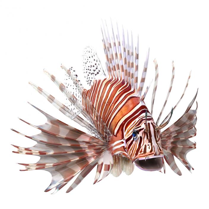 3D model Lionfish Rigged