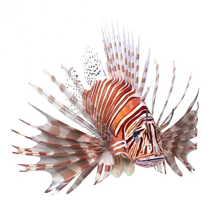 3D model Lionfish Rigged