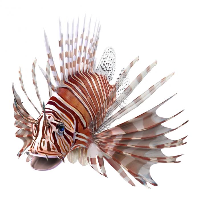 3D model Lionfish Rigged