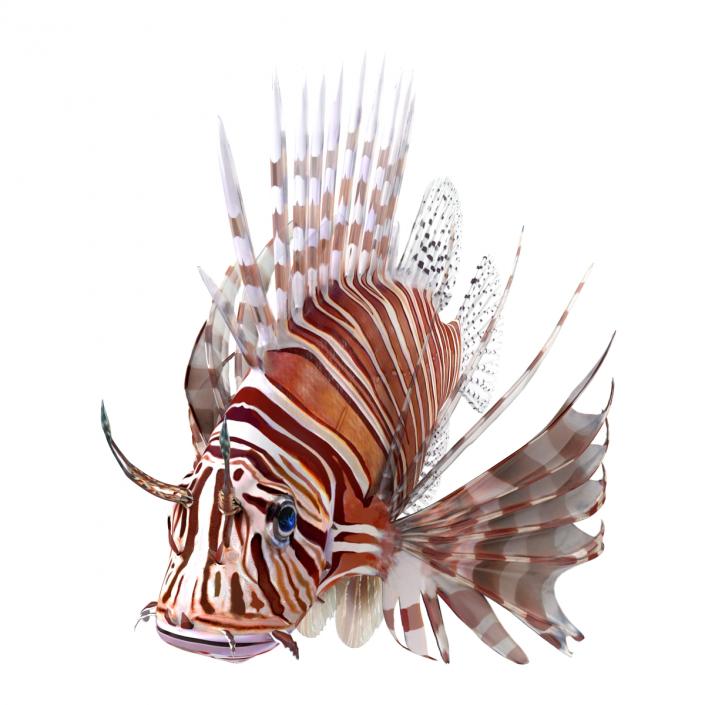 3D model Lionfish Rigged