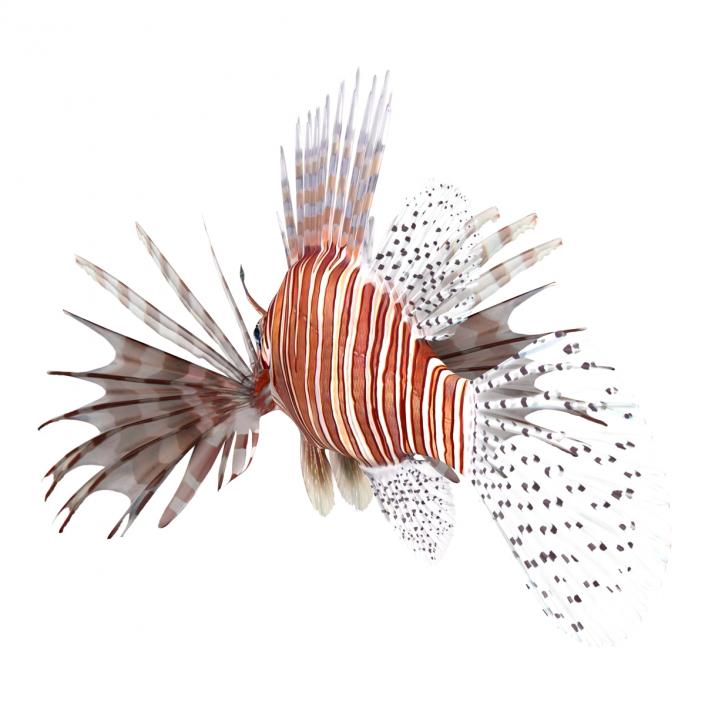 3D model Lionfish Rigged