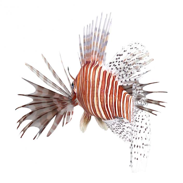 3D model Lionfish Rigged