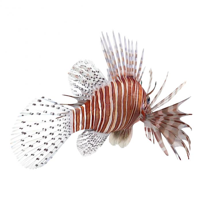 3D model Lionfish Rigged