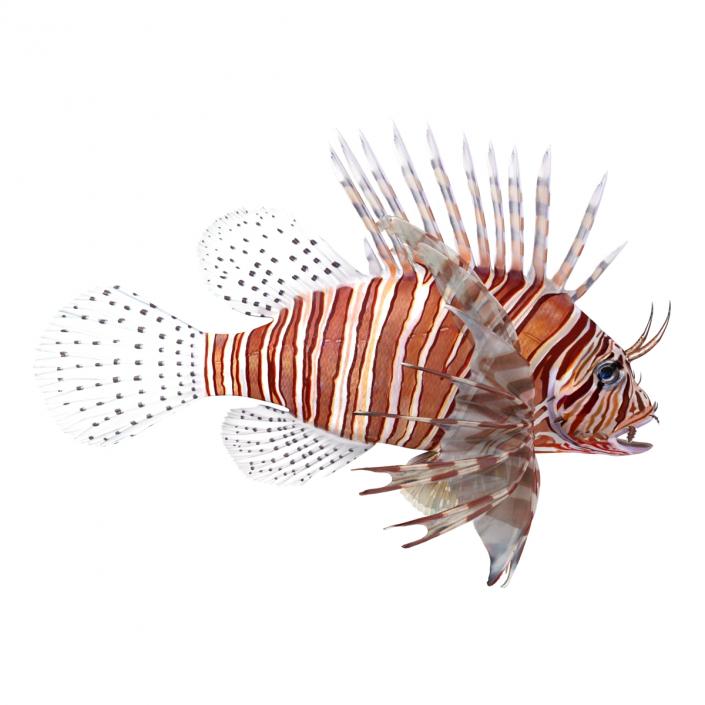 3D model Lionfish Rigged