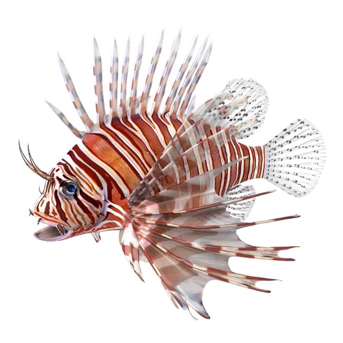 3D model Lionfish Rigged