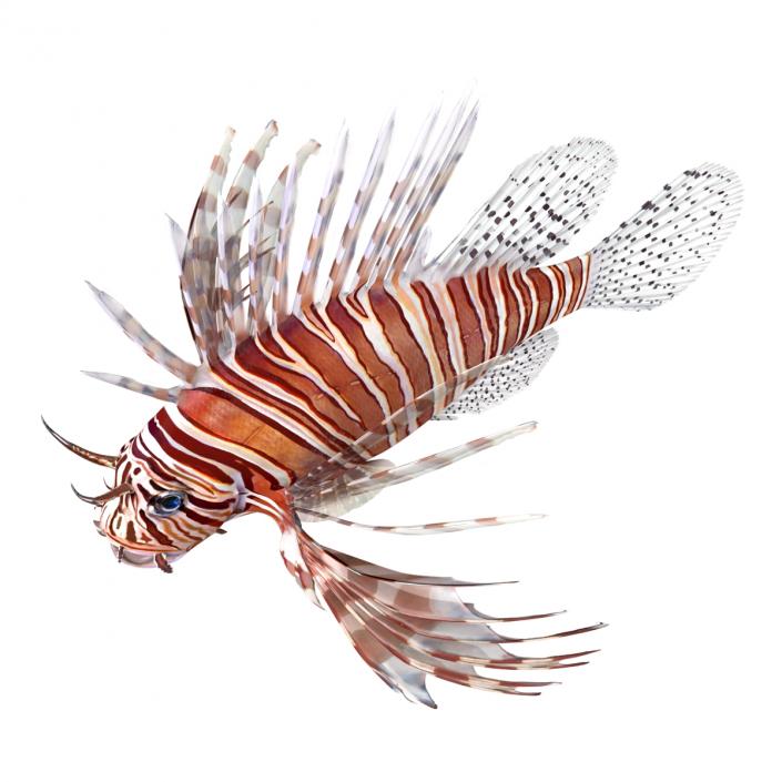 3D model Lionfish Rigged