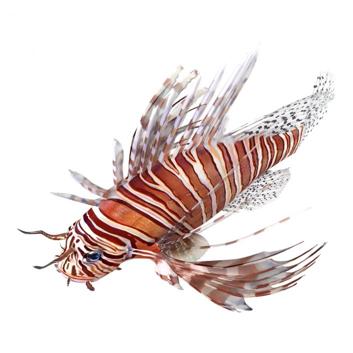 3D model Lionfish Rigged