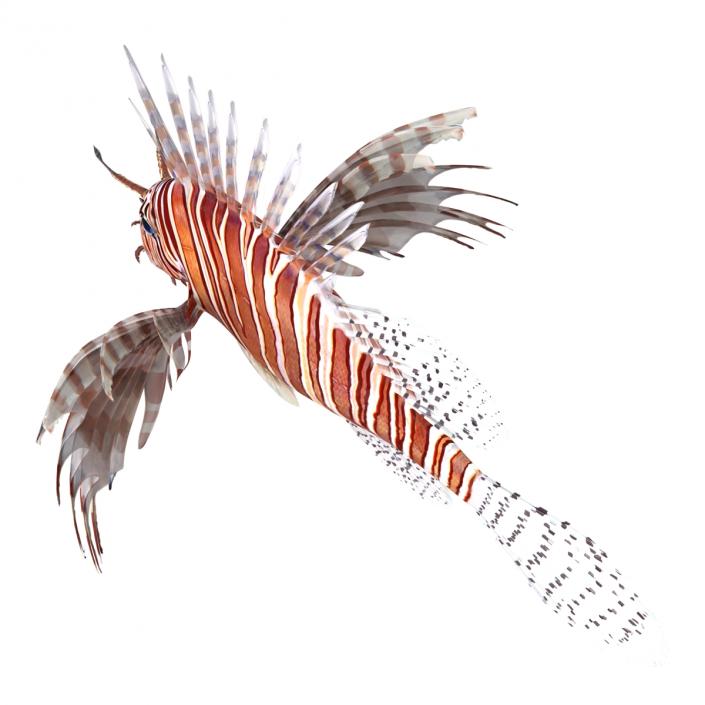 3D model Lionfish Rigged