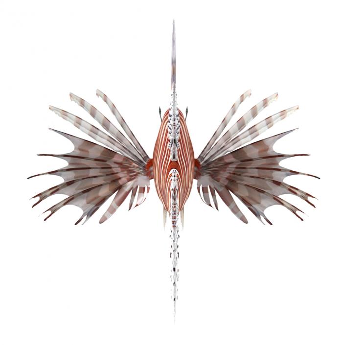 3D model Lionfish Rigged