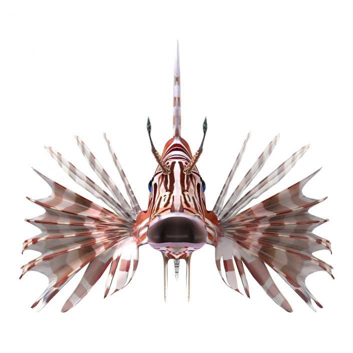 3D model Lionfish Rigged