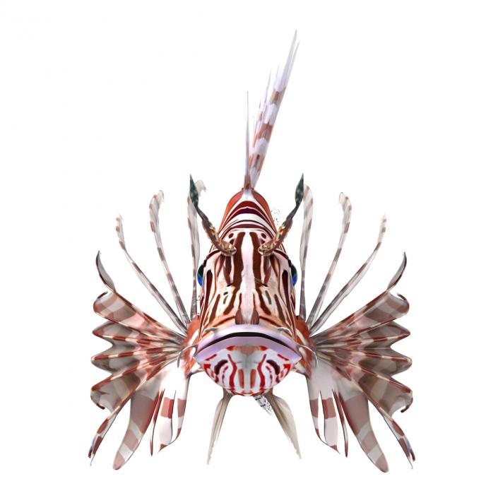 3D model Lionfish Rigged