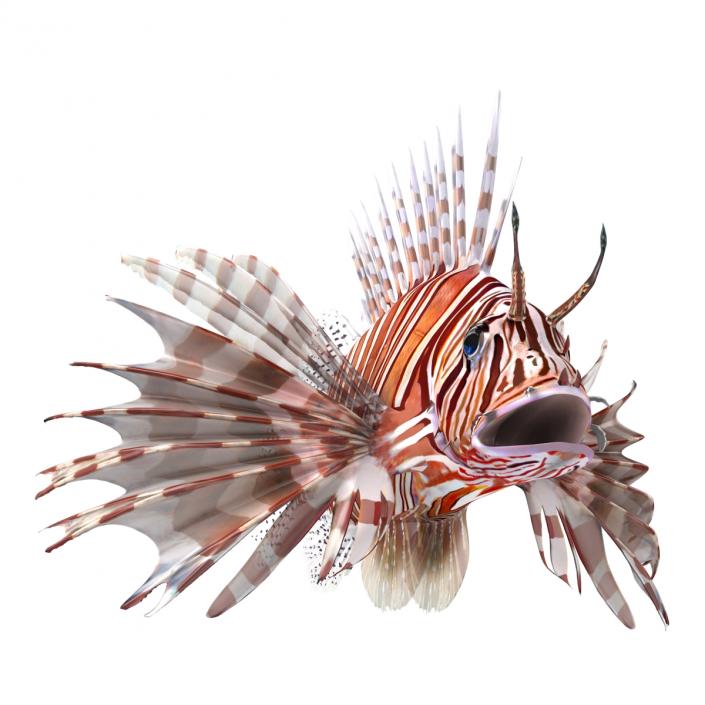 3D model Lionfish Rigged