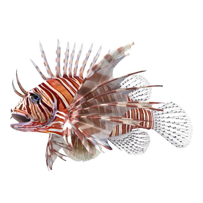 3D model Lionfish Rigged