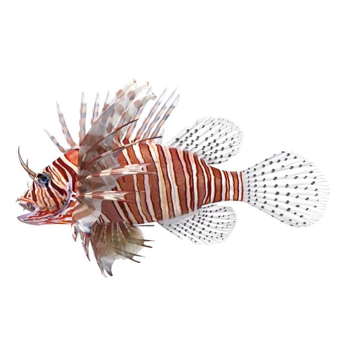 3D model Lionfish Rigged