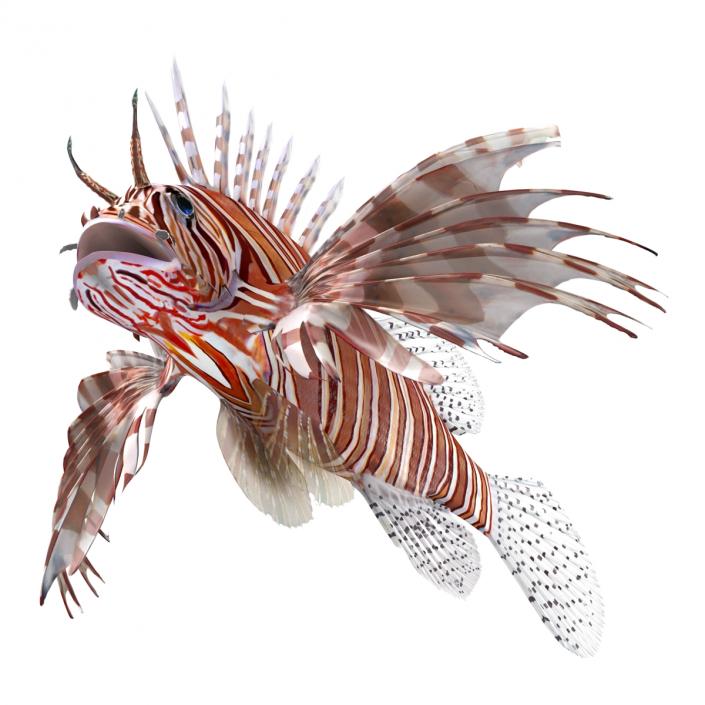 3D model Lionfish Rigged