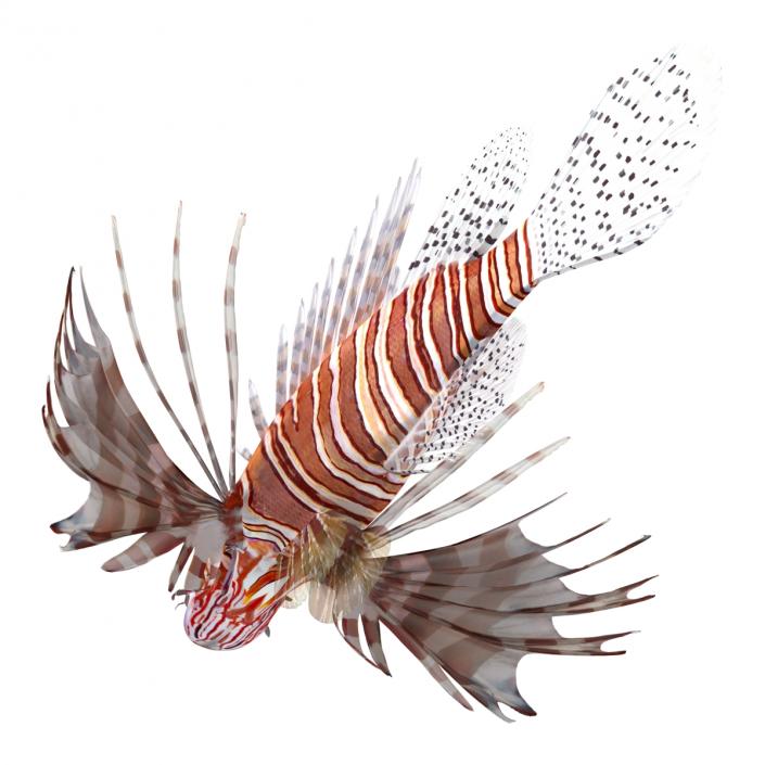 3D model Lionfish Rigged