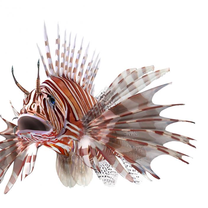 3D model Lionfish Rigged