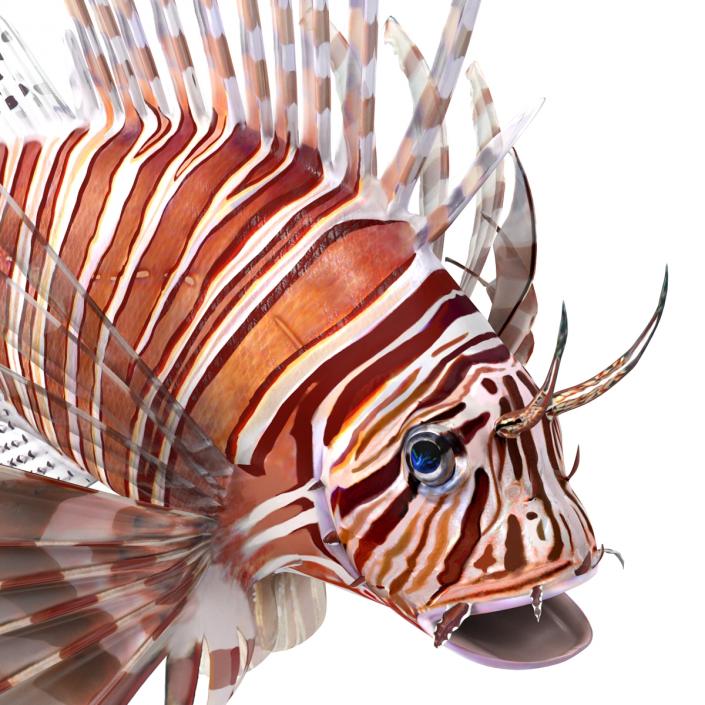 3D model Lionfish Rigged