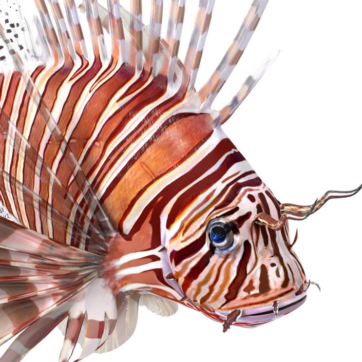 3D model Lionfish Rigged