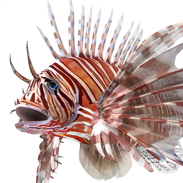 3D model Lionfish Rigged