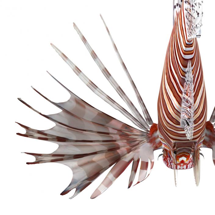 3D model Lionfish Rigged