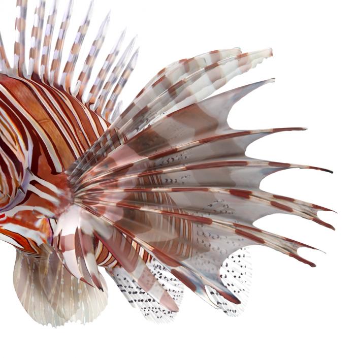 3D model Lionfish Rigged