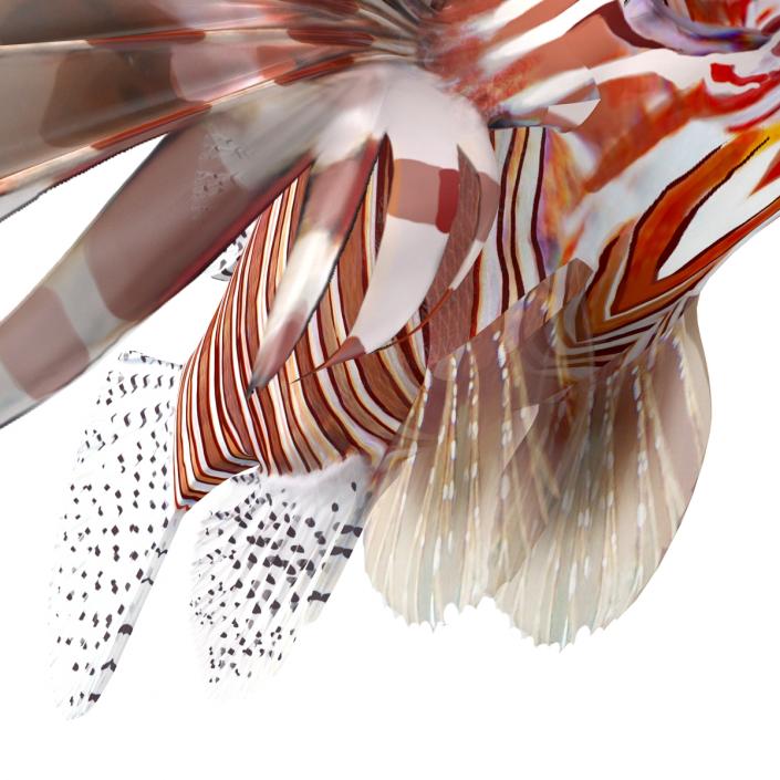 3D model Lionfish Rigged