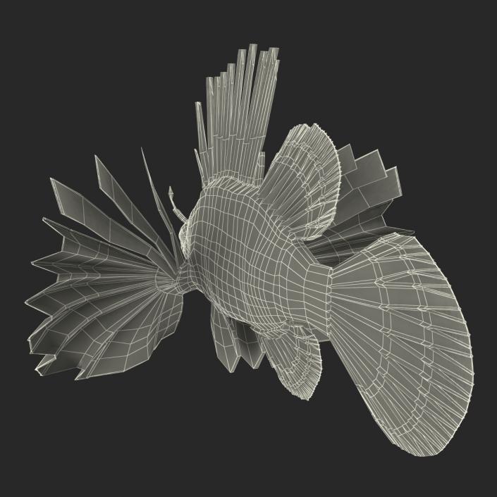 3D model Lionfish Rigged