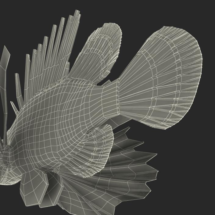 3D model Lionfish Rigged