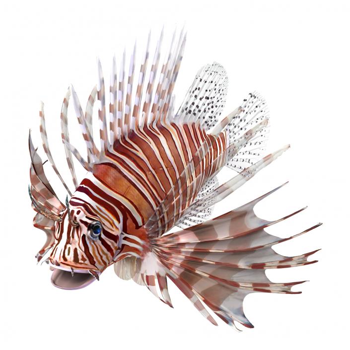 3D model Lionfish