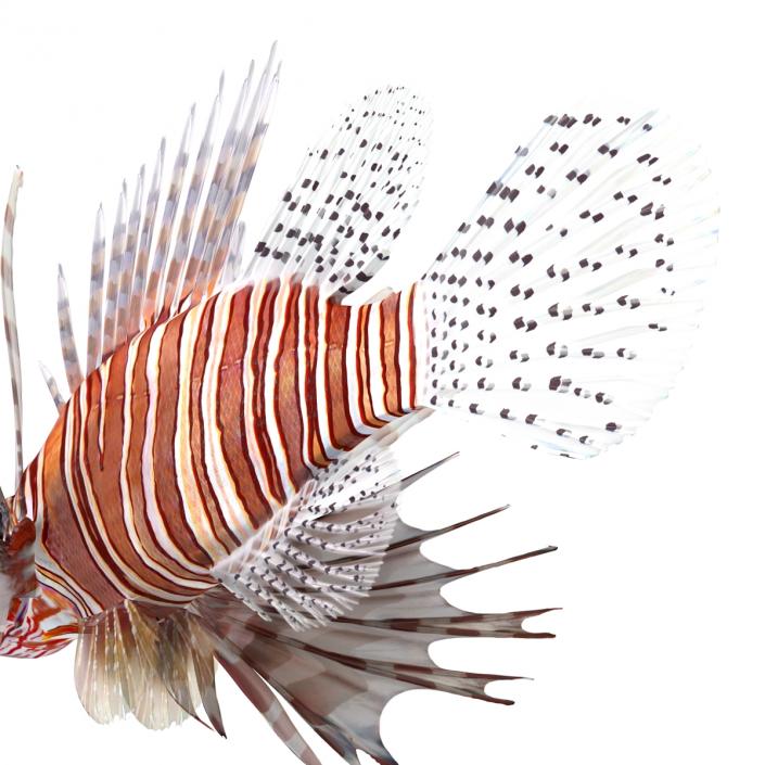 3D model Lionfish