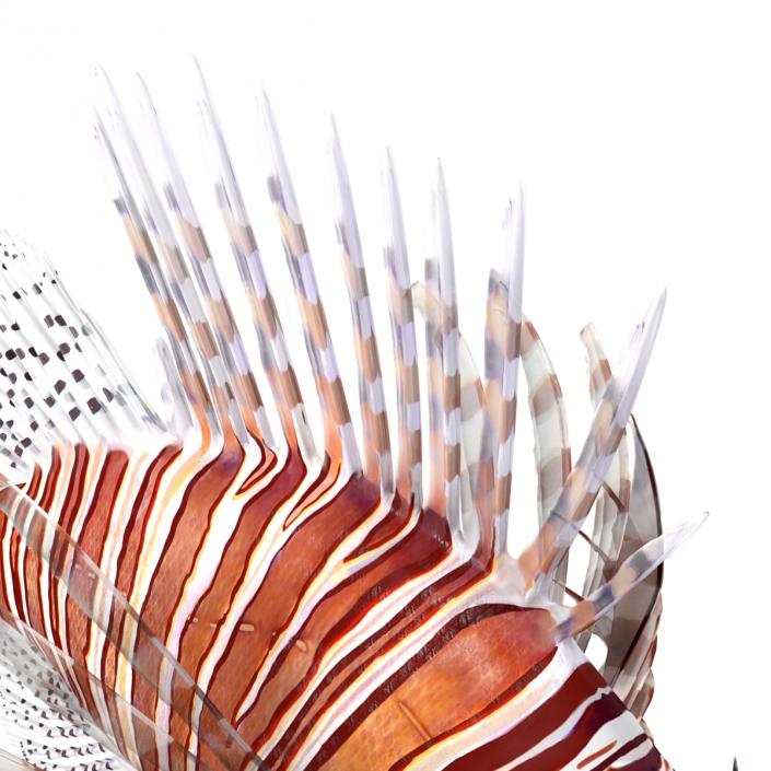 3D model Lionfish