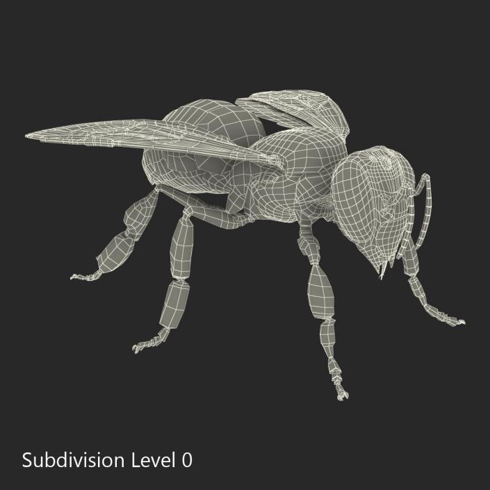 Bee 3D model