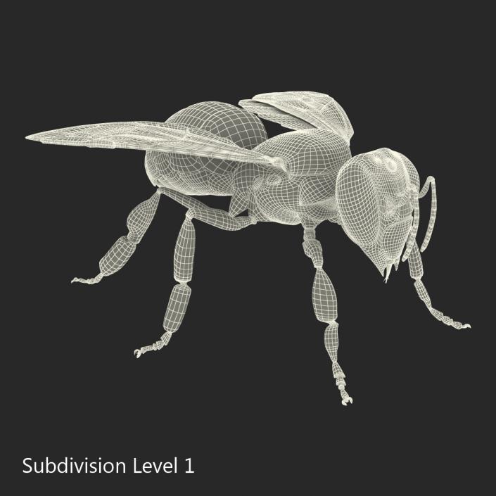 Bee 3D model