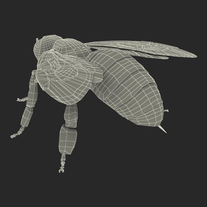 Bee 3D model