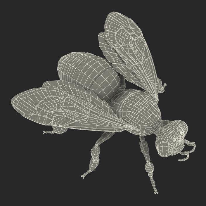 Bee 3D model