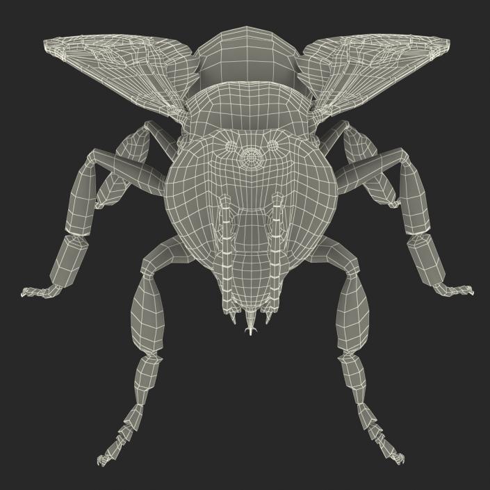 Bee 3D model