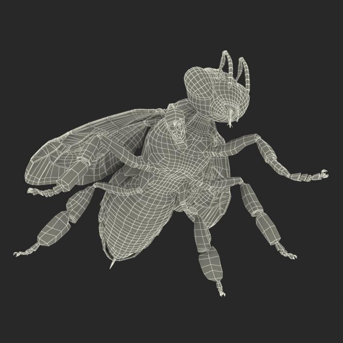 Bee 3D model