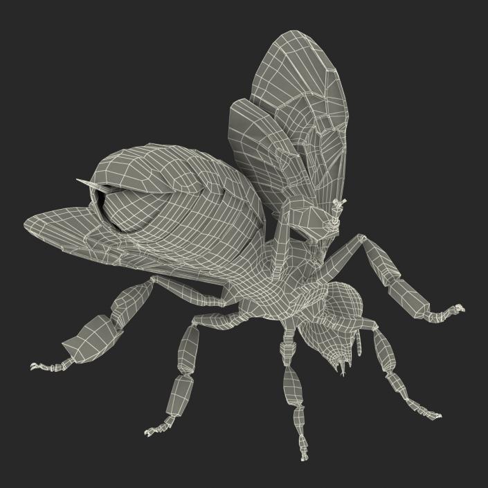 Bee 3D model