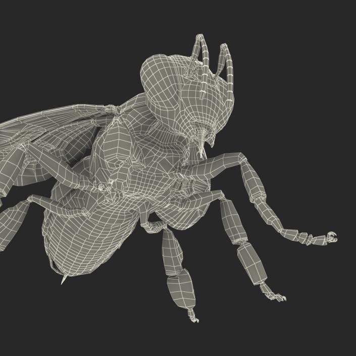 Bee 3D model