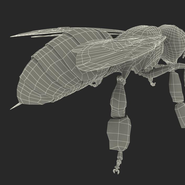 Bee 3D model