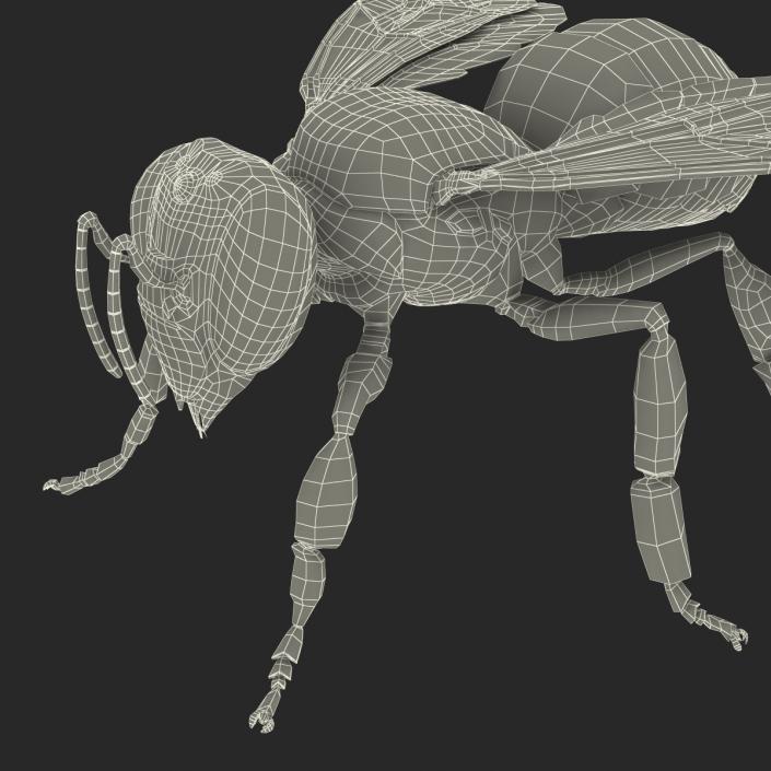 Bee 3D model