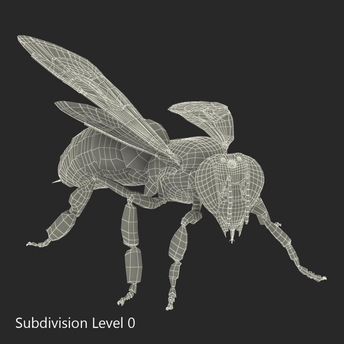 3D model Bee Pose 2