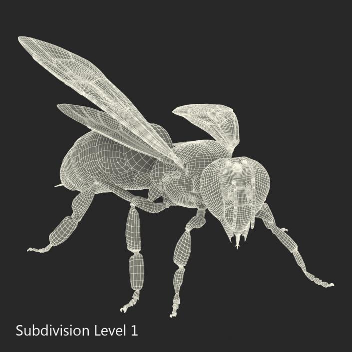 3D model Bee Pose 2