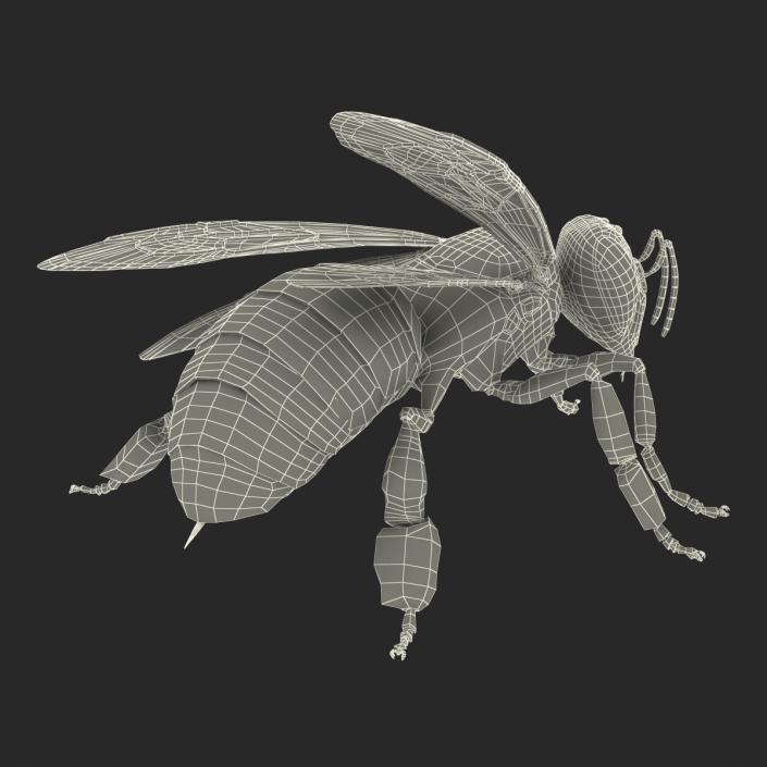 3D model Bee Pose 2